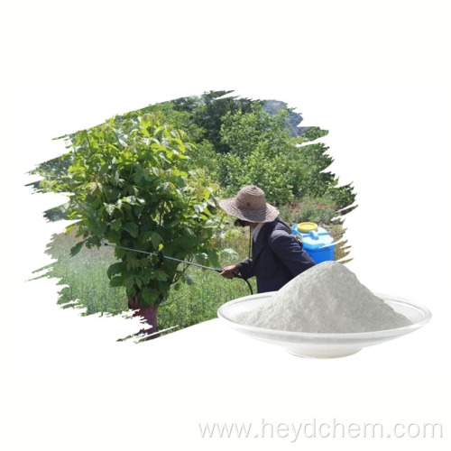 Hot sell insecticide Deltamethrin 98% TC